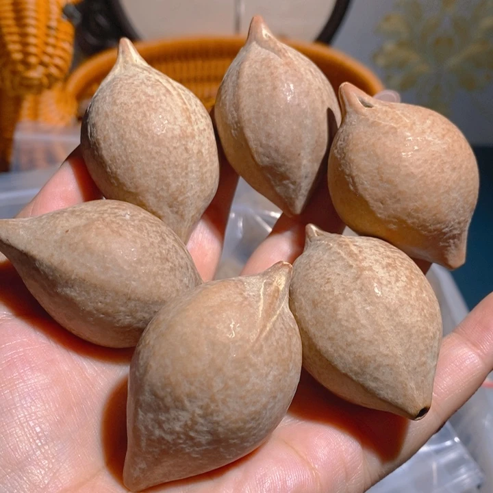 野生巴西大橄榄核把件6颗