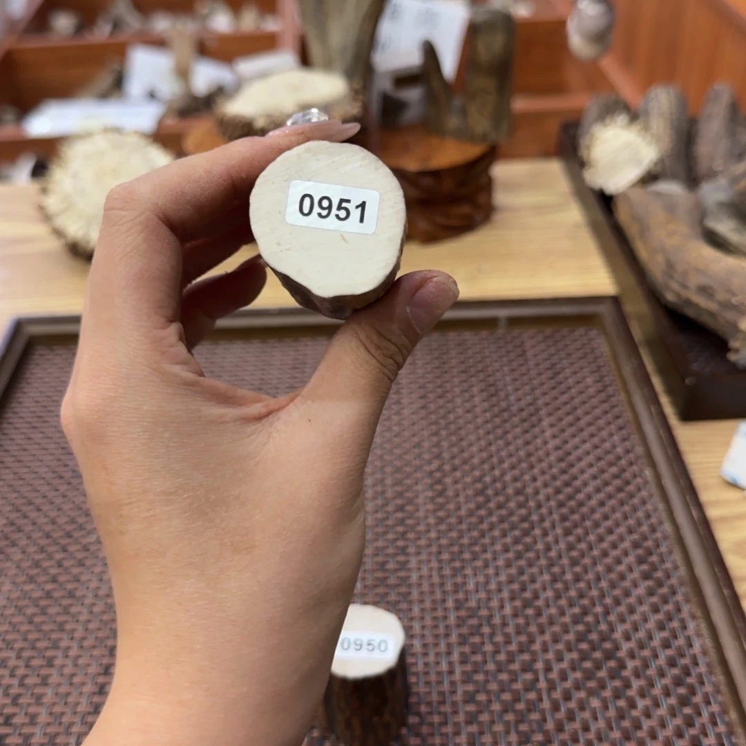 鹿骨其他0951尖段