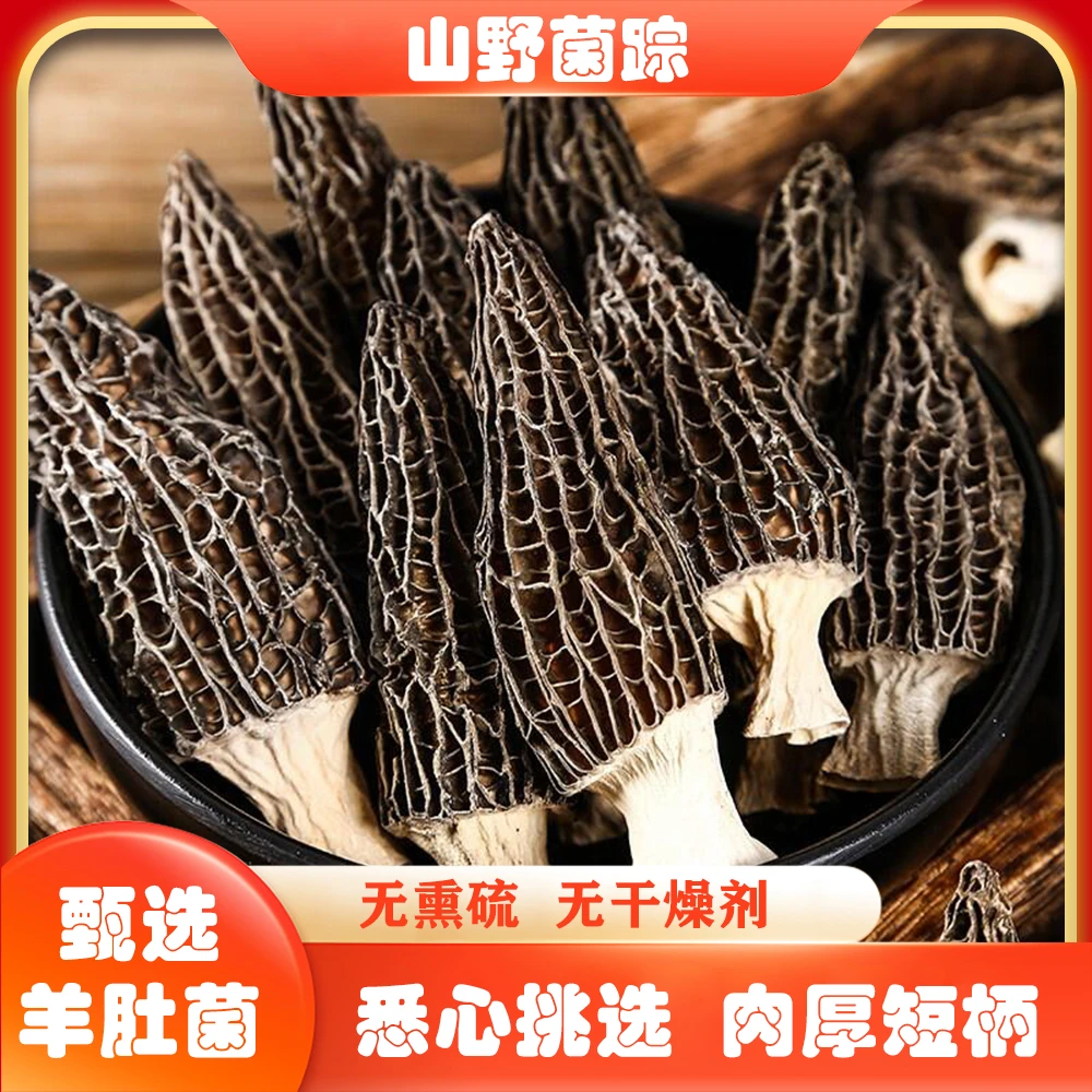 山野菌踪农家4-6cm高山羊肚菌营养丰富煲汤佳品肉质饱满10g*5袋