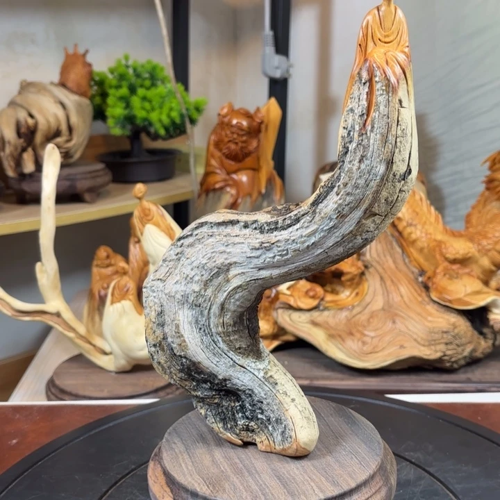 珍***好柏木（崖柏）cbbvbjhnnnn