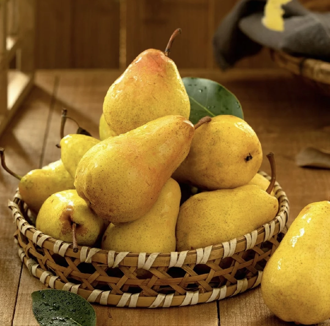 【产地直发】太婆梨放软好吃软糯多汁新鲜当季水果果农现摘顺丰包邮