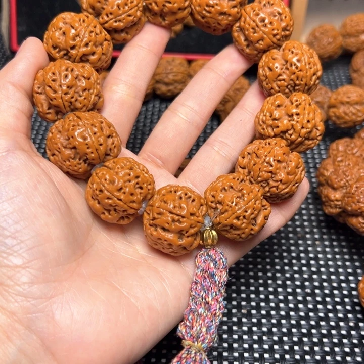 手串金刚菩提五抓金龙梅花