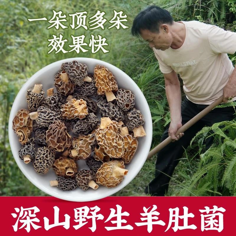 云南野生羊肚菌甄选优质菌菇类干货送礼自然晒干煲汤250克养肚菌