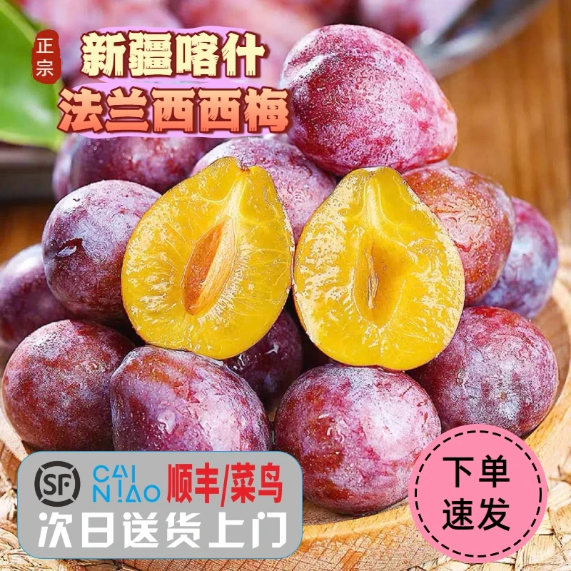 【新鲜正宗】新疆喀什法兰西西梅水果香甜软糯精选新鲜正宗西梅A