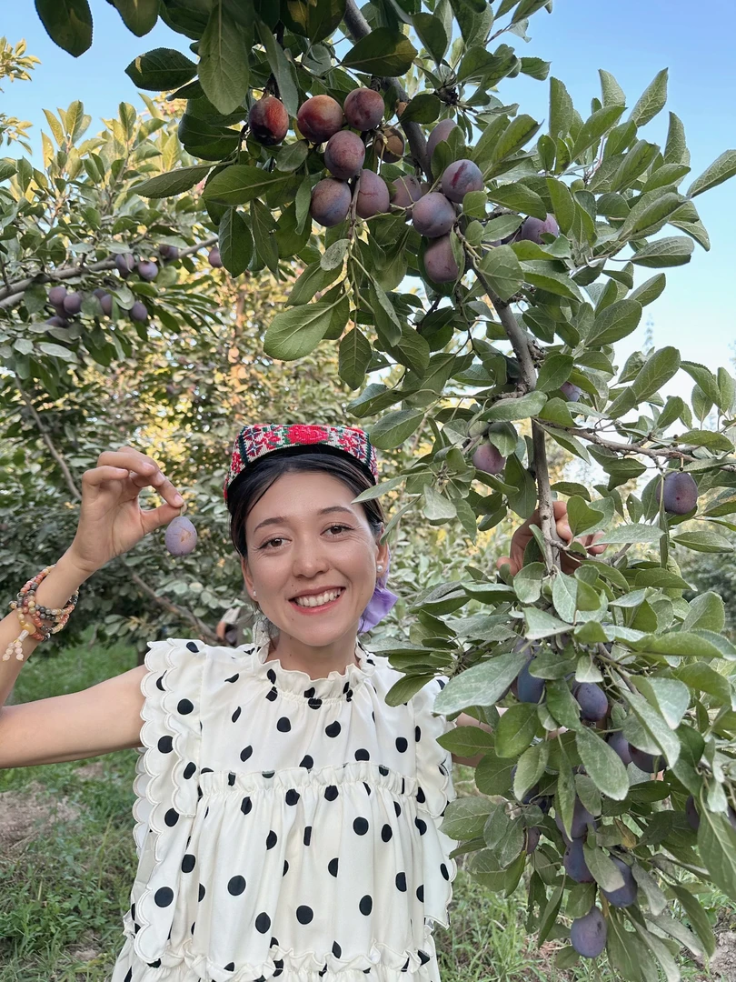 新疆法兰西西梅(鲜果顺丰空运）