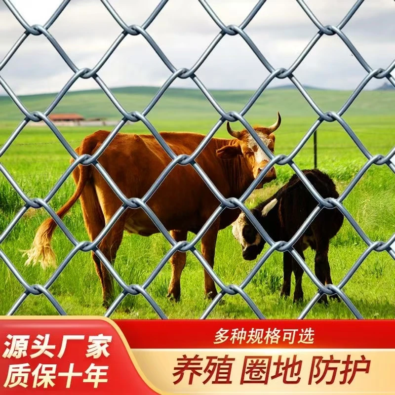 热镀锌勾花网铁丝网围栏养鸡养殖网牛羊钢丝网护栏网果园防多功能