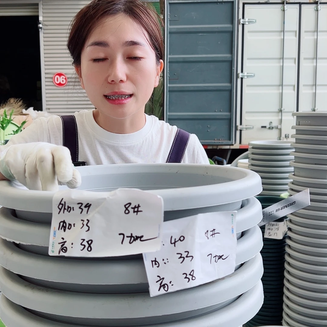 四季盆8#灰白5个无托