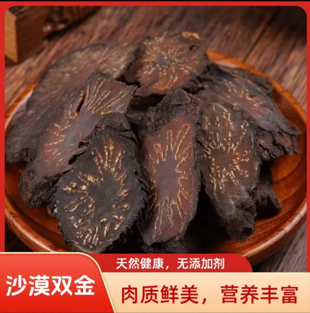 沙漠植物精选无坏果新货干净