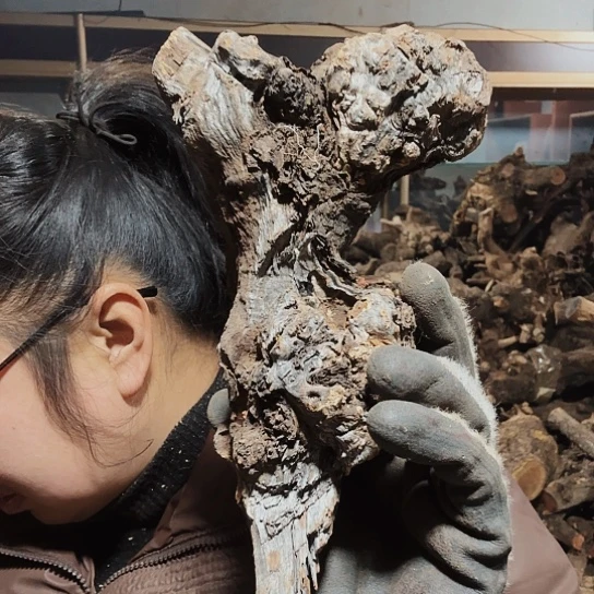 香榧木他*石火琉璃的那么烂摆件