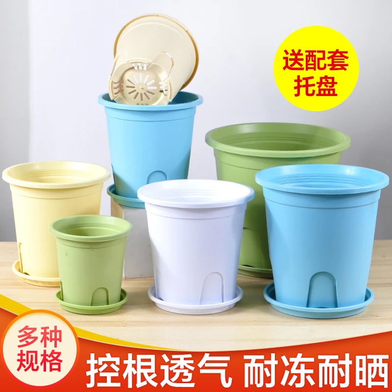 正品圆控根口24cm高24cm（3加仑）