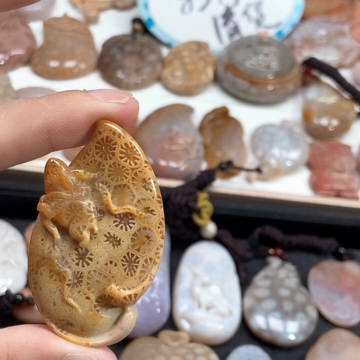 硅化珊瑚（珊瑚玉）未镶嵌颈饰