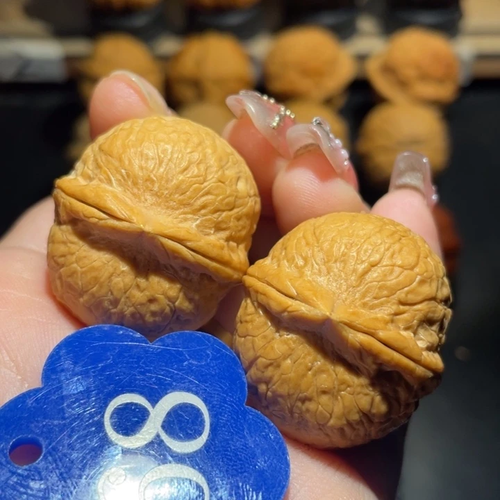龙珠32尺寸核桃。