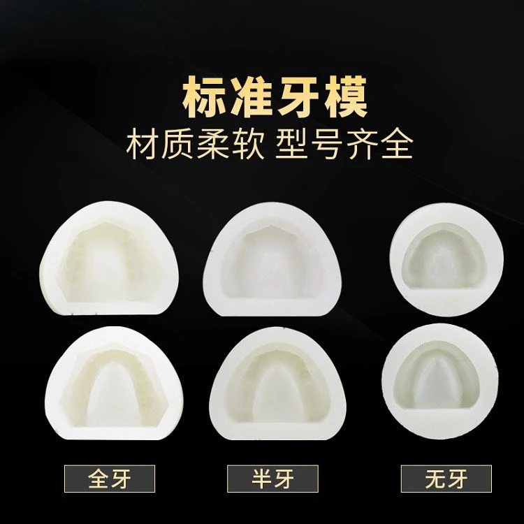 标准牙模全牙半牙无牙教学模型医患沟通模型综合病理模型修复模型