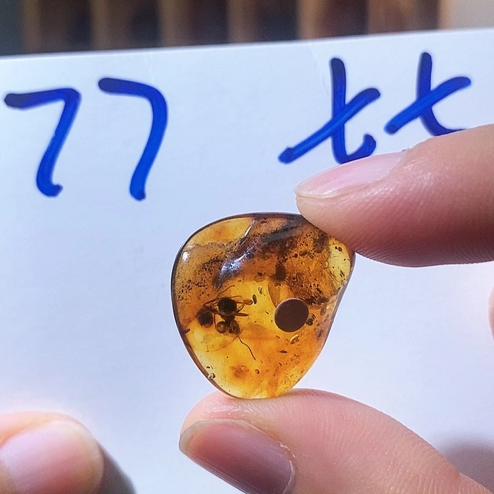 未镶嵌颈饰琥珀琥珀虫珀蚂蚁