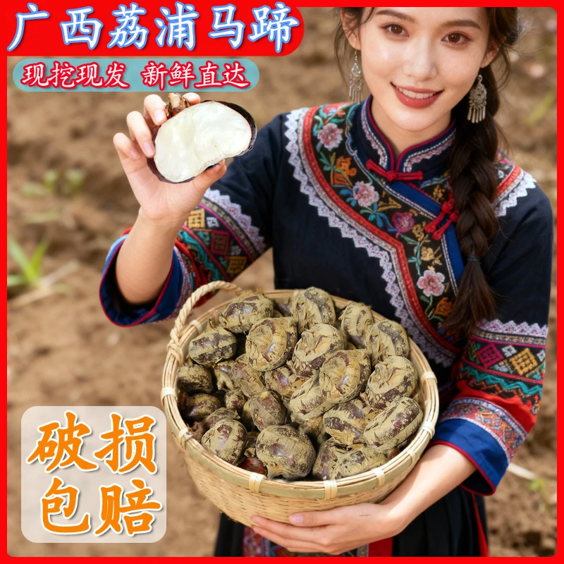 广西正宗芳林马蹄新鲜现挖马蹄荸荠清甜脆爽农家特产红皮水果马蹄