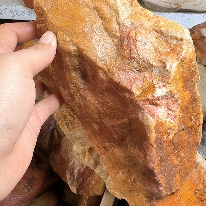 寿山石寿山石的颜色