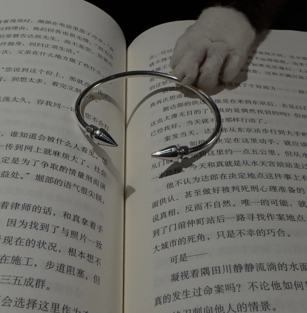 925银手镯 克克子弹轻奢时尚手镯ALK043