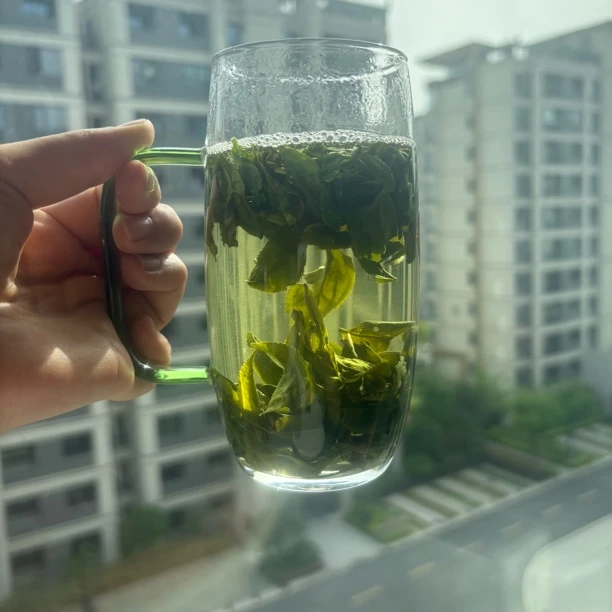 2025年4.15雨前茶  笨种瓜片 浓香耐泡