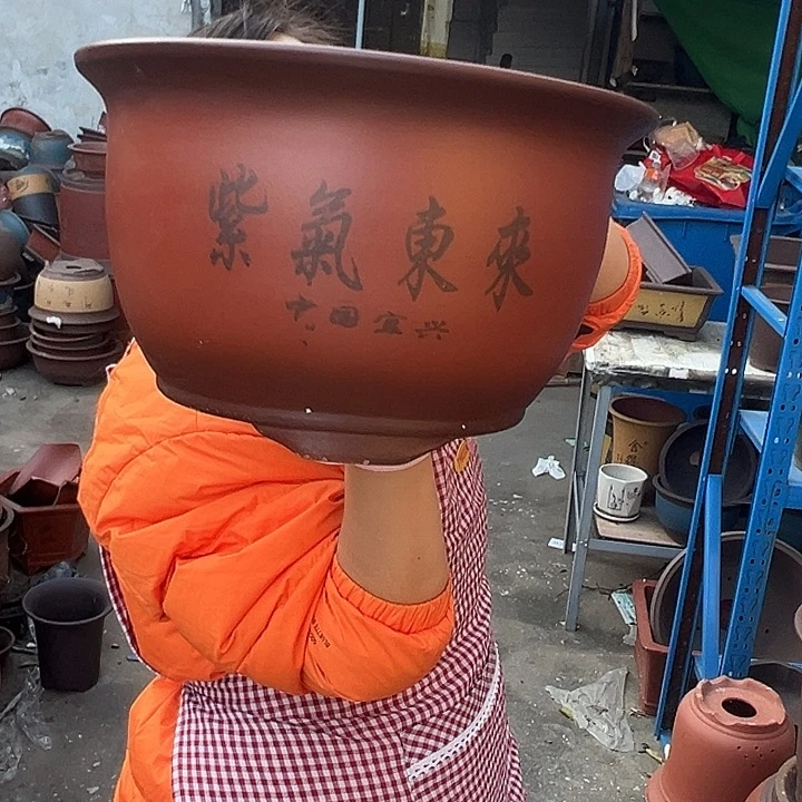 30紫气东来花盆花盆花盆花盆