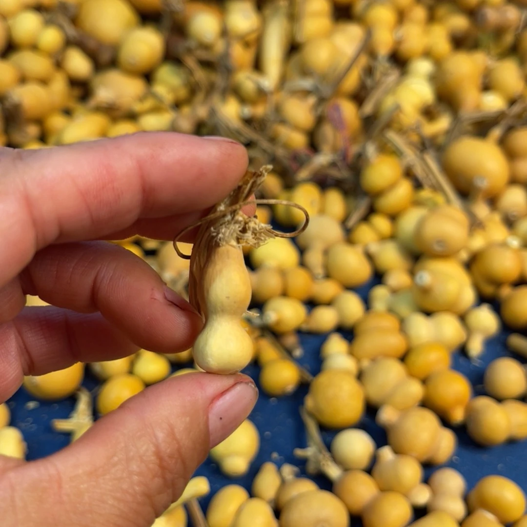 .葫芦葫芦葫芦葫芦吊坠