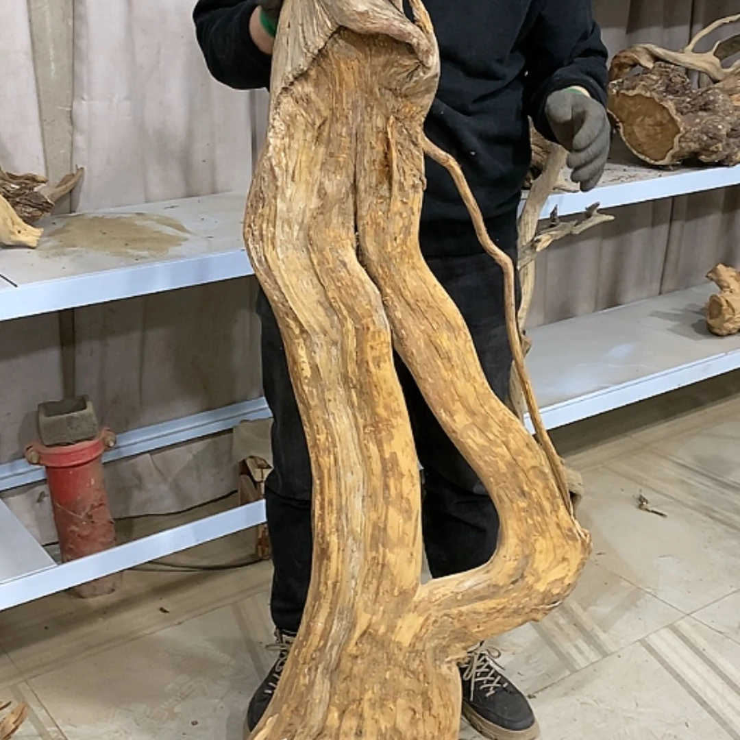 【闪购商品】柏木宽****心我们都是好孩子