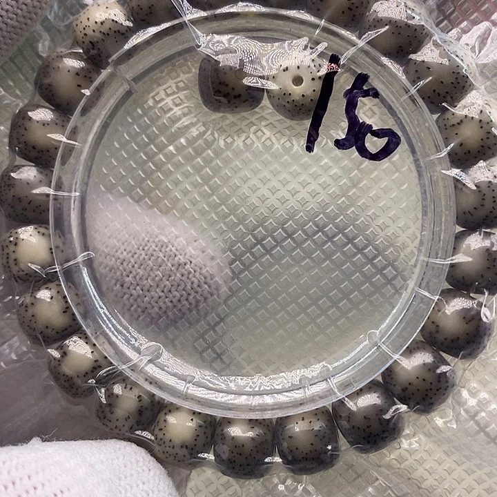 手串星月菩提双留白侧留白黑冰