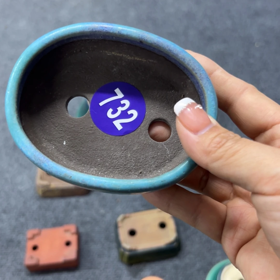 红陶蓝*.红红火火过大年732