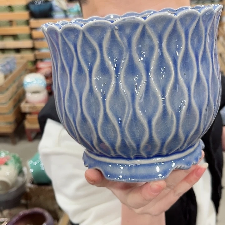 陶瓷陶瓷多肉植物花盆