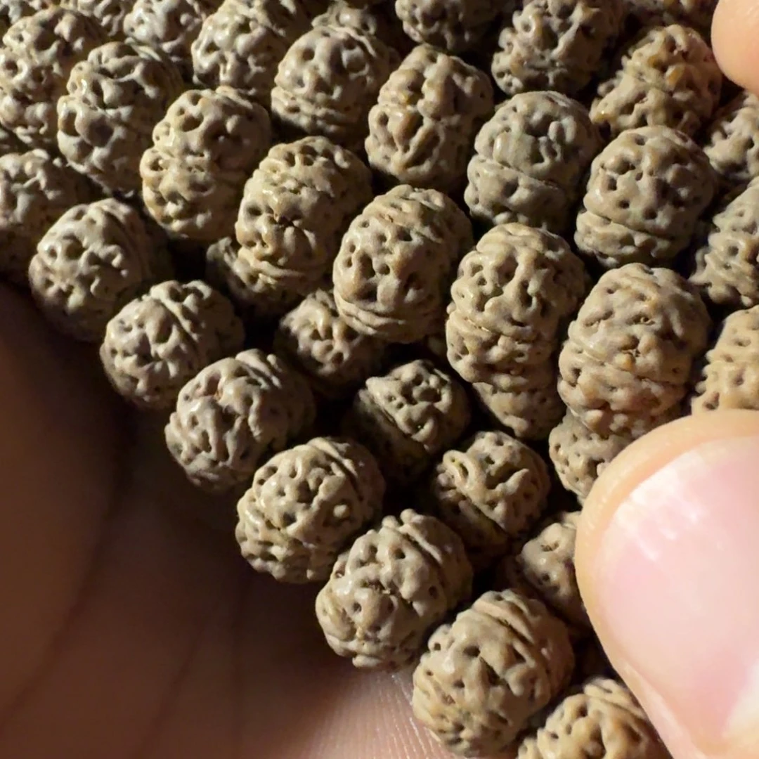 金刚菩提吊坠勿里达老树王