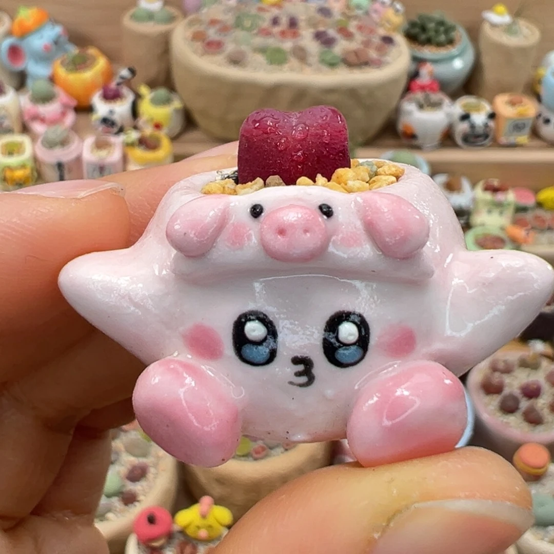 多肉植物61号拇指盆