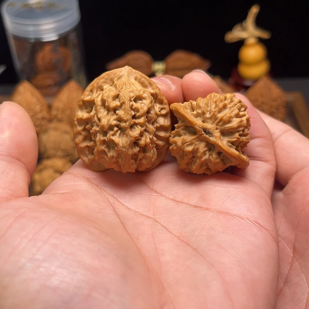 核桃手串/手链老树关关36