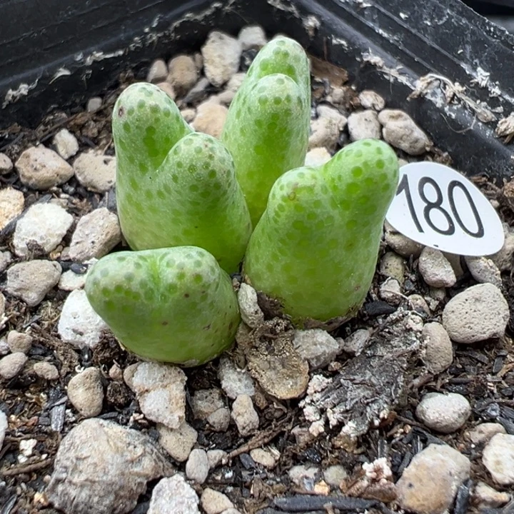 180号11111111111111