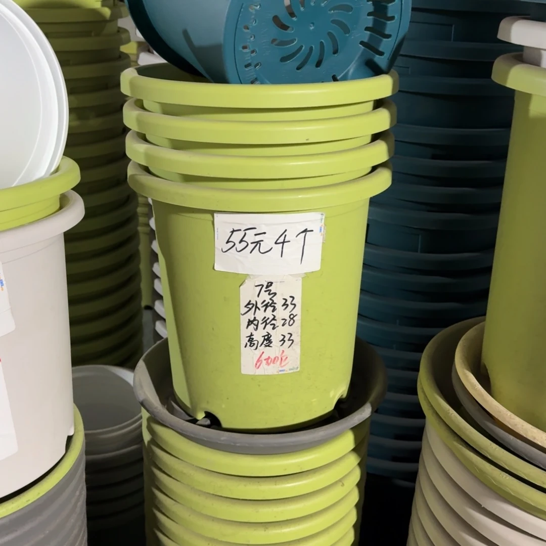 四季7#口径33高33无拖果绿6个