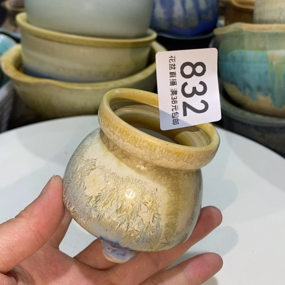 花盆花盆花盆花盆