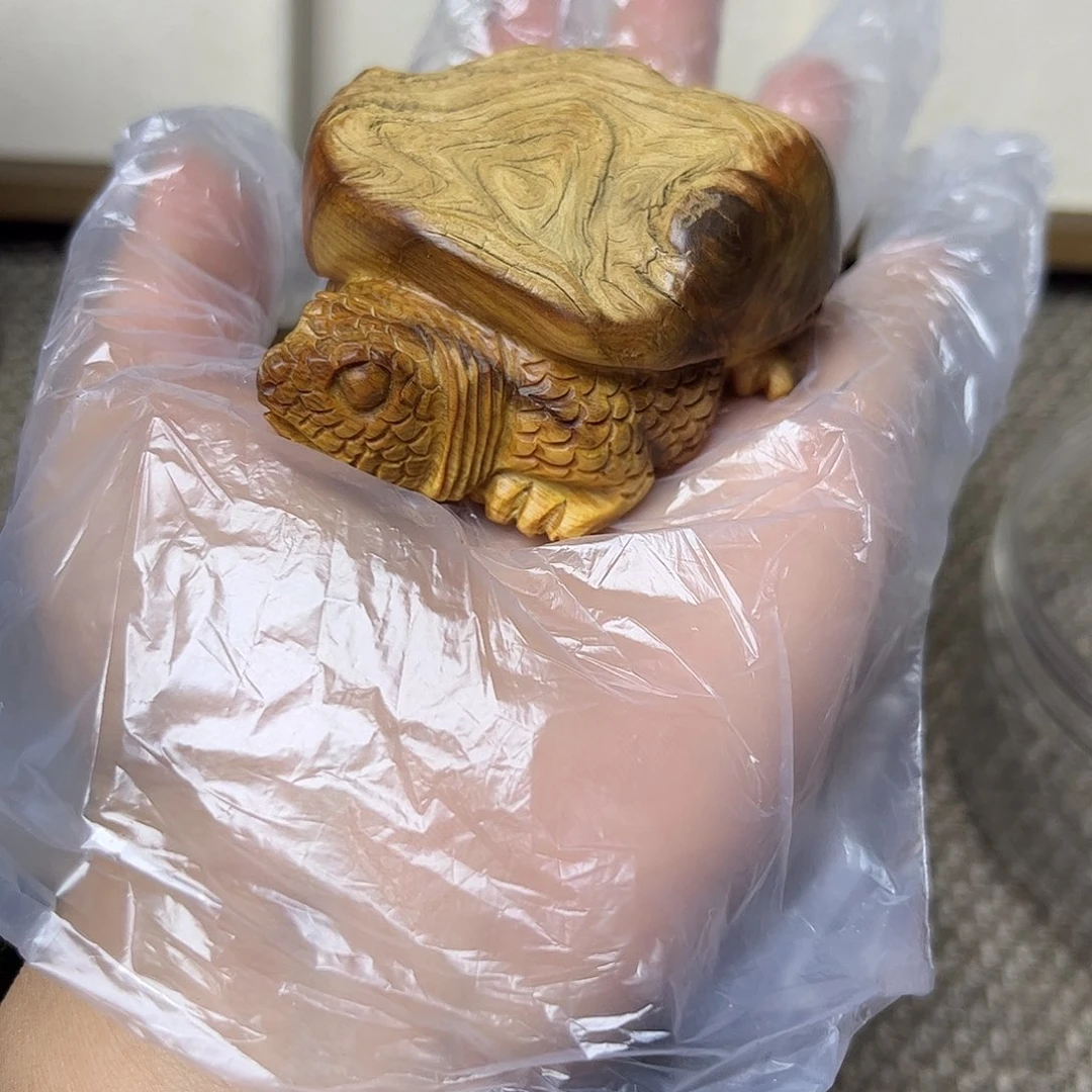 派***星柏木（崖柏）龟云南