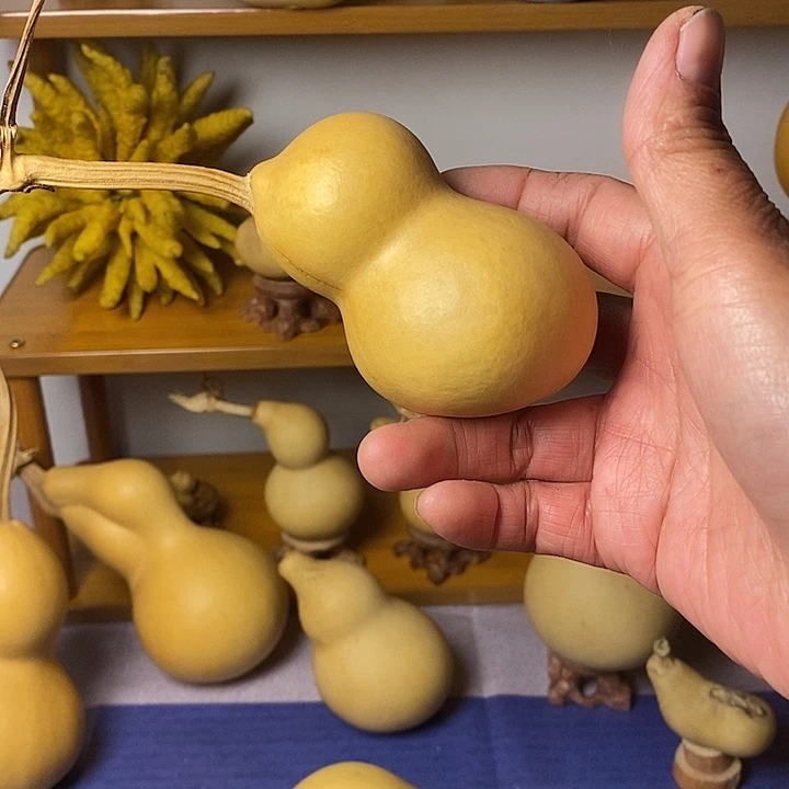 咕***噗青皮葫芦手把件摆件葫芦