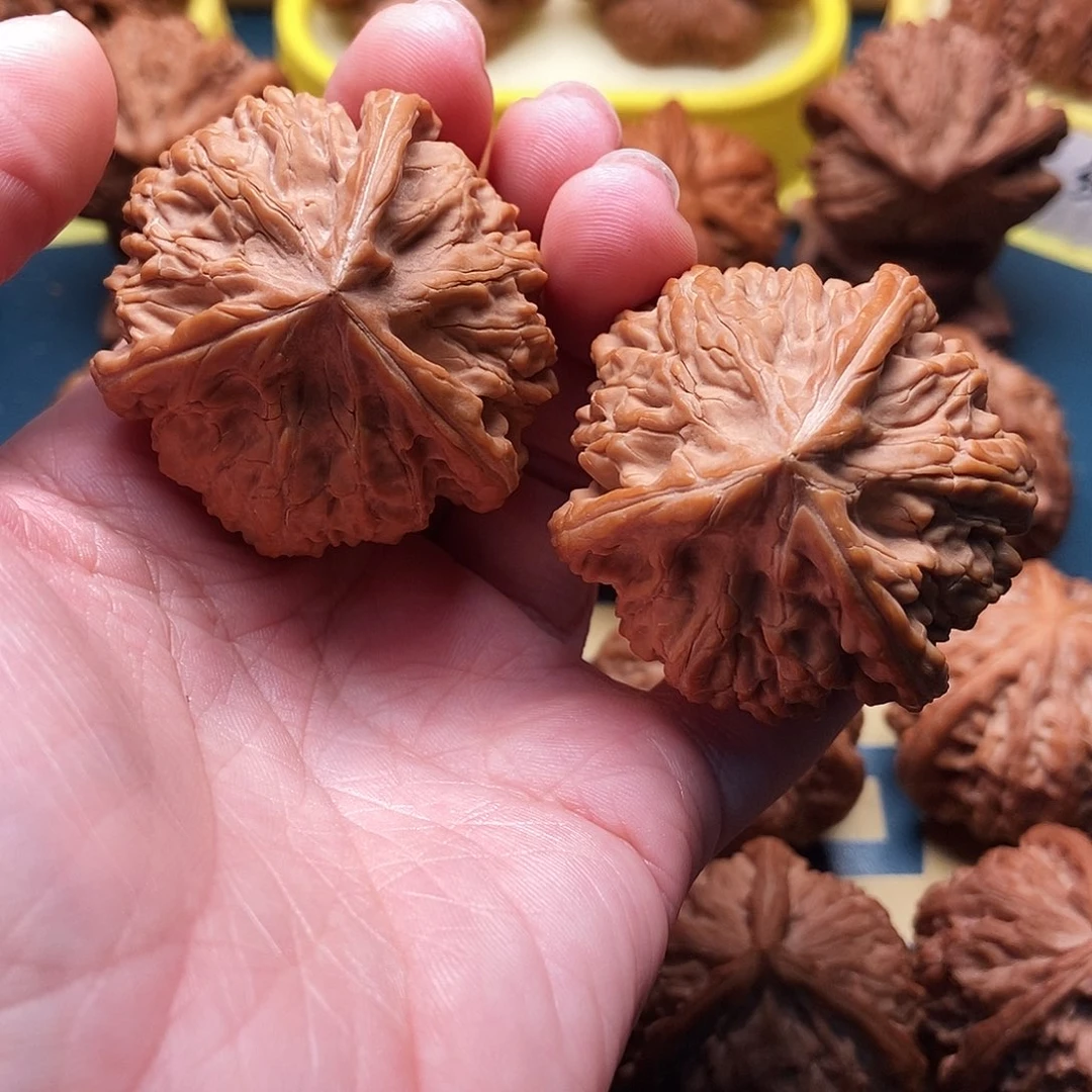 文玩核桃把件玉龙粗筋 全品44