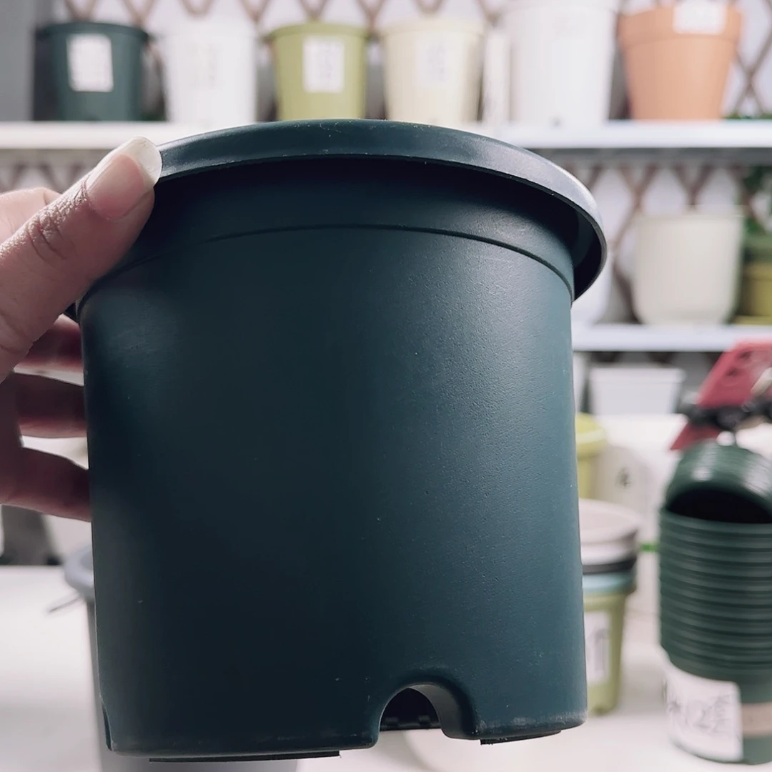 四季4号军绿10个带透气托