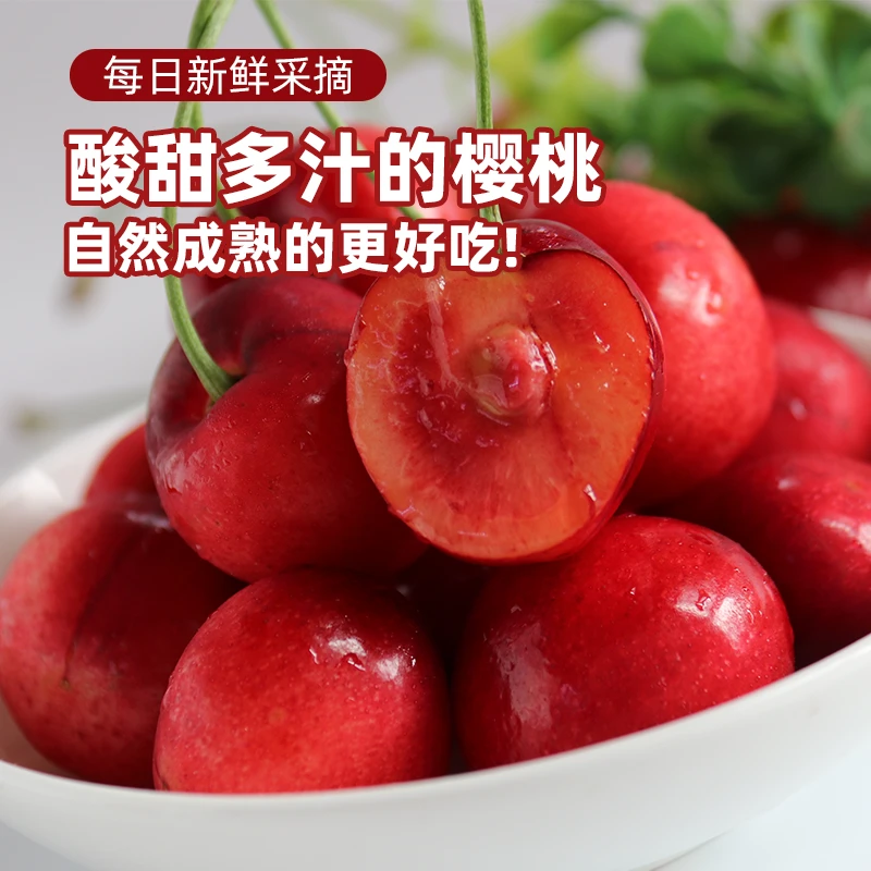 顺丰快递陕西西安白鹿原大樱桃红甜新鲜水果国产车厘子现摘现发