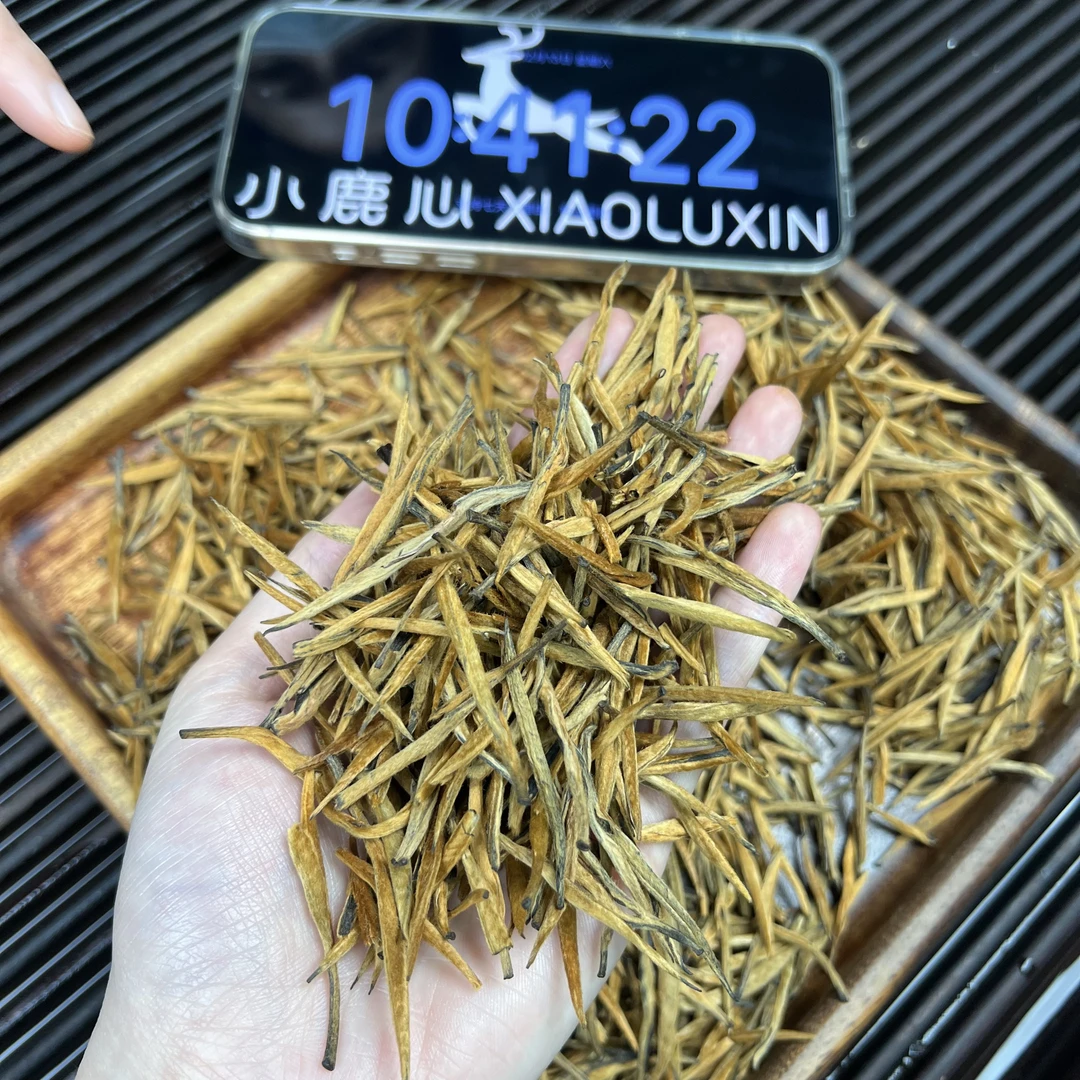 滇红大金针  ② 小鹿收茶 头春头采 红茶 滇红  12月13