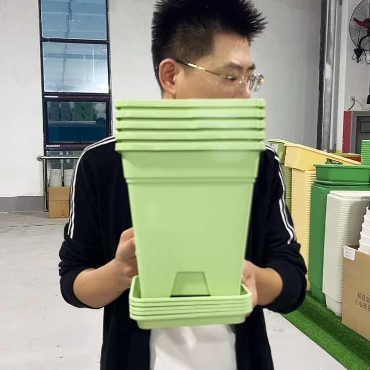 正品方盆口20高22果绿5只带托