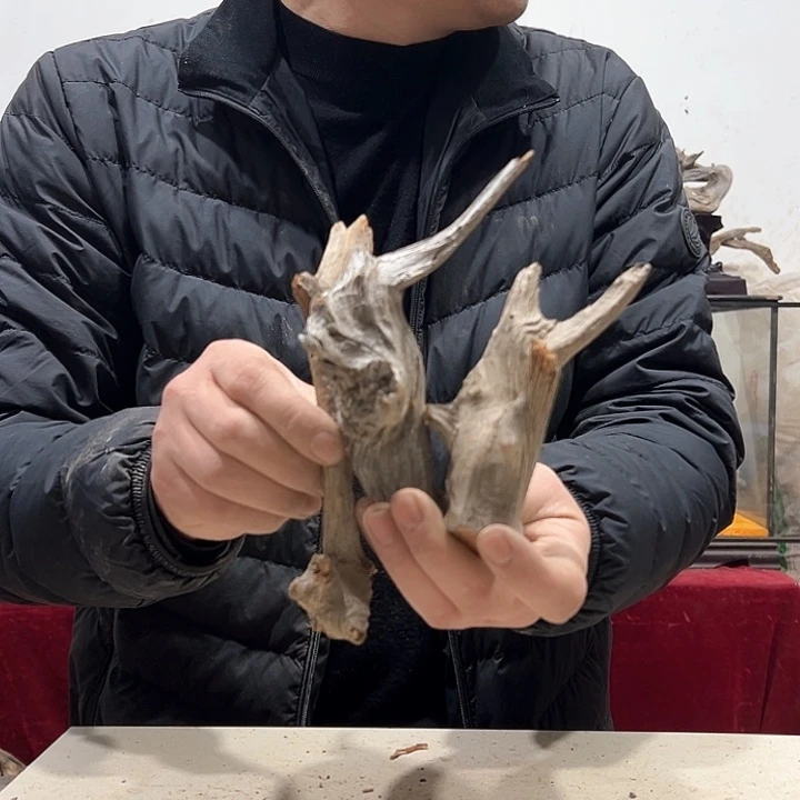 柏木木****店我们的生活是一