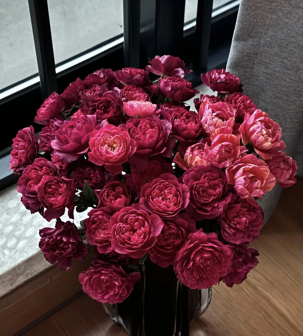 【10枝多头黑玉果汁】全场任意两单顺丰冷链包邮，一单需补邮费！