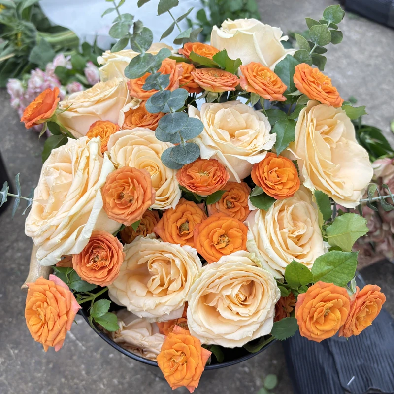 【玫瑰组合】单头玫瑰新鲜鲜花花束云南鲜花基地直发适合客厅装饰