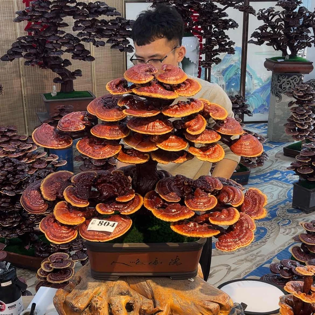 【闪购商品】588888