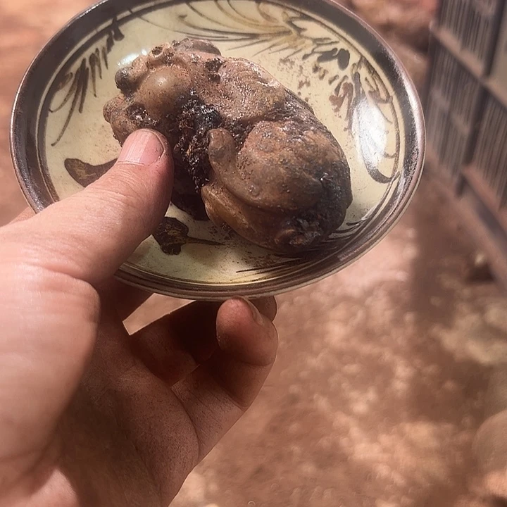 杯瓷器瓷器瓷器瓷器