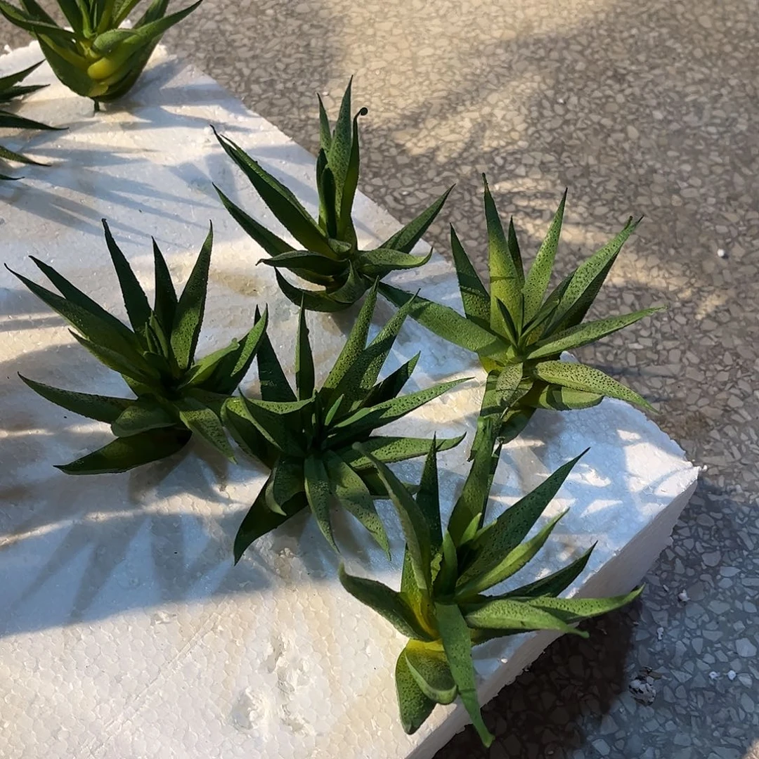 铁瑕疵瑕疵瑕疵瑕疵