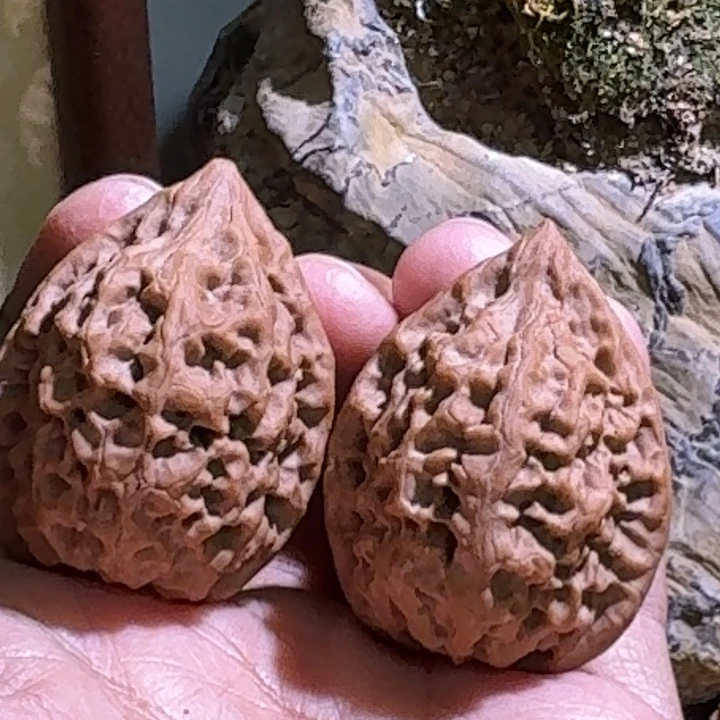 七***洞文玩核桃吊坠鸡心34全品
