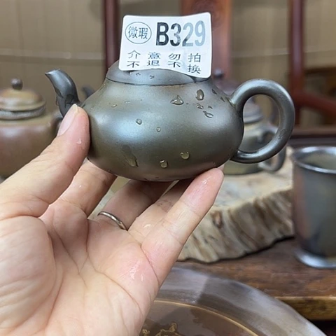 戬谷龙窑柴烧茶壶329