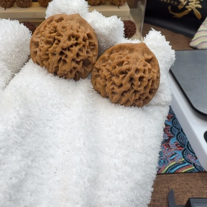 核桃秦岭闷尖狮子头35